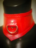 Latex D ring choker